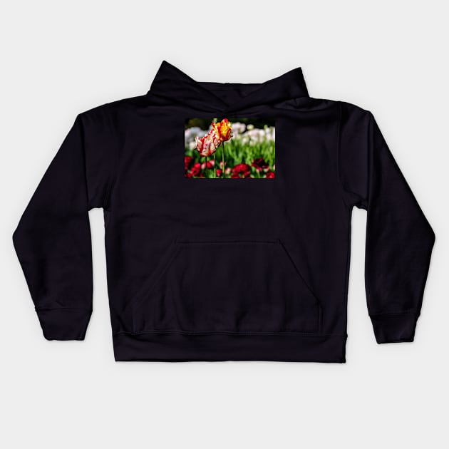 tulips Kids Hoodie by rollier